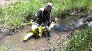 drz400 ktm450 swimming