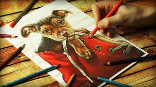 How to Draw a DOG | Как нарисовать собаку цветными карандашами