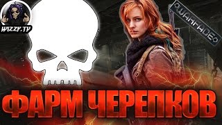Фарм черепков ► Боевые очки ► Зимняя охоты ► Warface
