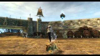 GW2 Mini Lion Cub animations