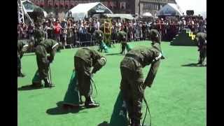 Exhibicion De Adiestramiento Canino Militar (Febrero 2013) Zocalo Capitalino