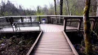 Beholder DS1 and Panasonic GH3 With 7-14 Lens 1st Test also With/Without Comparison