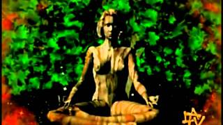 DIACOM - BIORESONANCIA