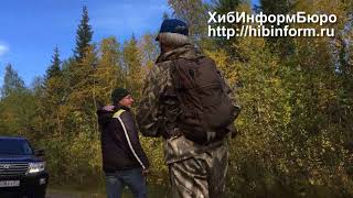 Неожиданные последствия собачьей драки в Апатитах