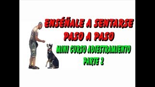 Cómo ENSEÑAR a SENTARSE a un PERRO (Curso Adiestramiento Canino Parte 2)