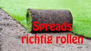 Rollen von vertikalen Spreads // optionsstrategien.com