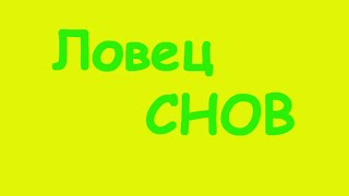 К чему снится медведь