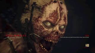 CoD:WWII Zombies - The Final Reich Hardcore Easter Egg SOLO (Dark Reunion Trophy)