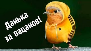 Найти вероятность по формуле Бернулли (bezbotvy)