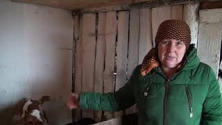 РЕАЛЬНАЯ ДЕРЕВНЯ в ГЛУБИНЕ РОССИИ! КОРОВА по ЦЕНЕ ПОПУГАЯ