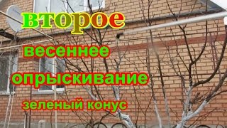 ОПРЫСКИВАНИЕ ДЕРЕВЬЕВ- -ВТОРОЕ  весеннее орыскивание