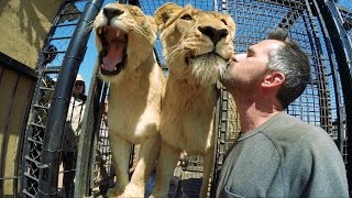 It's MOVING Day! - Part 2 | The Lion Whisperer