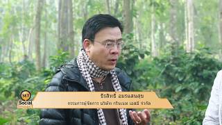 Set Social Impact "กาแฟ MIVANA..กาแฟอินทรีย์รักษาป่า" ช่วงที่ 1 / 6 เม.ย. 60