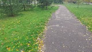 Запорожье слышал бабах в городе 29.10.2022