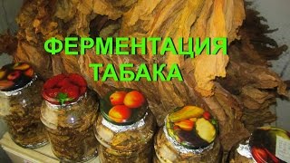 ДНЕВНИК ТАБАКОВОДА № 43 ( 13.08. ФЕРМЕНТАЦИЯ ТАБАКА , ЧАСТЬ 1 ) ТАБАК