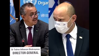 Локдаун заказывали или Что ржёте, жеребцы?