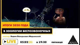 Вадим Марьинский| Итоги 2020 года в зоологии беспозвоночных