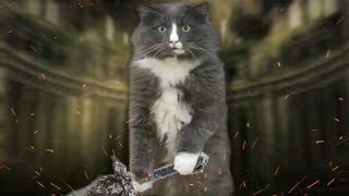 Cat Souls III
