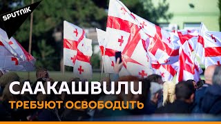 Акция "Нацдвижения" в поддержку Саакашвили у Руставской тюрьмы