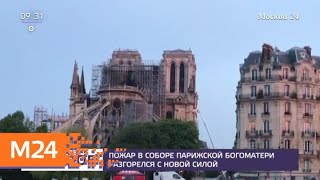 Пожар в соборе Парижской Богоматери до сих пор не потушен - Москва 24