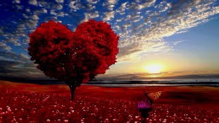 love tree - Футаж дерево любви full hd 1080