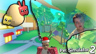 GRINDING PET SIMULATOR 2 (ROBLOX)