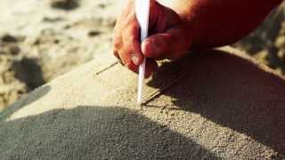 sculpture de sable Westende 2013