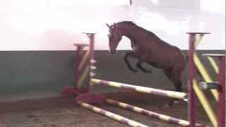 Guinness H, Freejumping #1