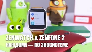 Asus Zenwatch & Zenfone 2: каждому — по экосистеме