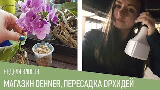 Садовый магазин Dehner Пересадка орхидей Влог