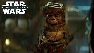 Meet Babu Frik | Star Wars: The Rise of Skywalker