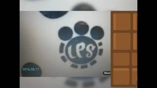 Коды для игры your world lps