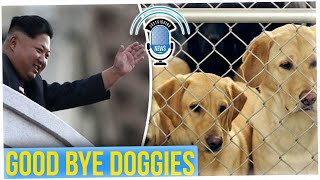 Dogs Confiscated in N.K. Because They Represent "Western Decadence"