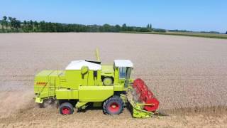 Weizenernte im Innviertel 2017   Claas Dominator 85