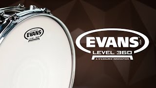 Evans | Review Peles Heavyweight