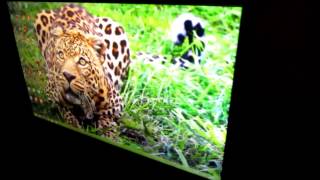 ASUS VG248QE Viewing Angles