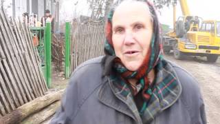 GZT.md, Бельцы, новогодняя елка, хозяйка, село Дану