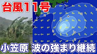台風11号　小笠原諸島で暴風に警戒　波の強まりも継続