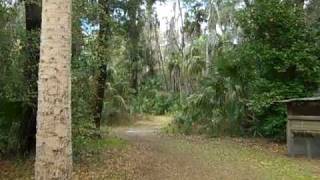 Cross Creek Scenes from Marjorie Kinnan Rawlings Home