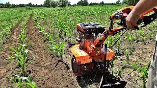 La bilonat porumbii cu motocultorul si rarita reglabila