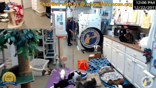 FOFRescueCenter Live Stream