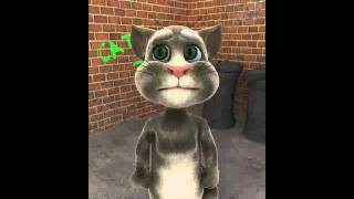 pisica tom betiva