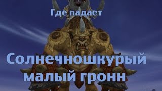 Как получить или Где падает Солнечношкурый малый гронн