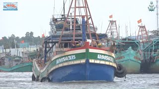 TÀU GIÃ CÀO CHEN NHAU XUẤT HÀNH MÙNG 6 TẾT XEM PHÊ (P2)