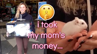 i got a hamster and didn't tell my parents