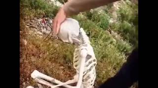 Daesh Execution of Skeleton Warrior