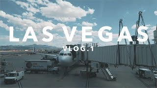 USA TRIP - VIVA LAS VEGAS
