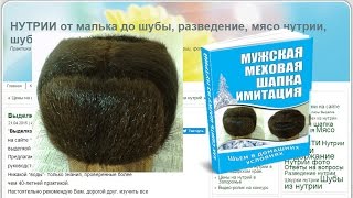 Мужская меховая шапка на сайте Нутрии от малька до шубы