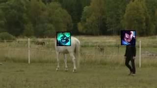 Hecarim vs Yasuo