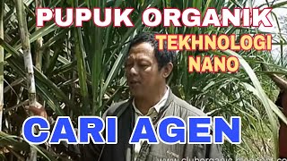 Cara baru Tanam Tebu Super